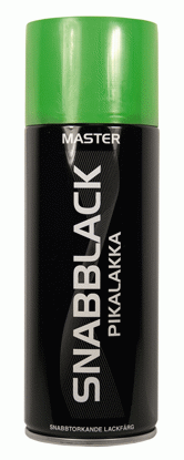 Master Snabblack Sprayfärg Grön Blank 1010