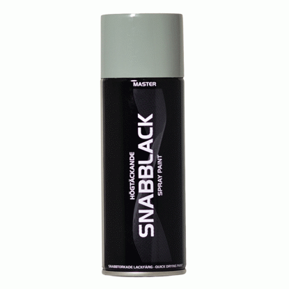 Master Snabblack Sprayfärg Grå Blank 1012