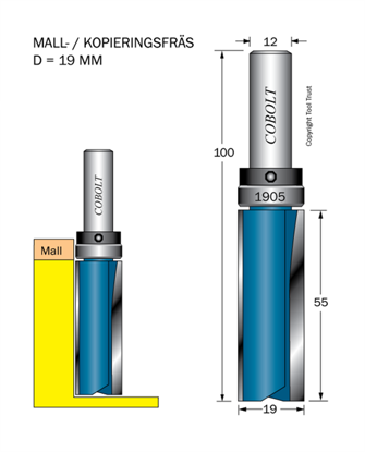 Cobolt Mallfräs D=19 L= 55 TL=100 S=12