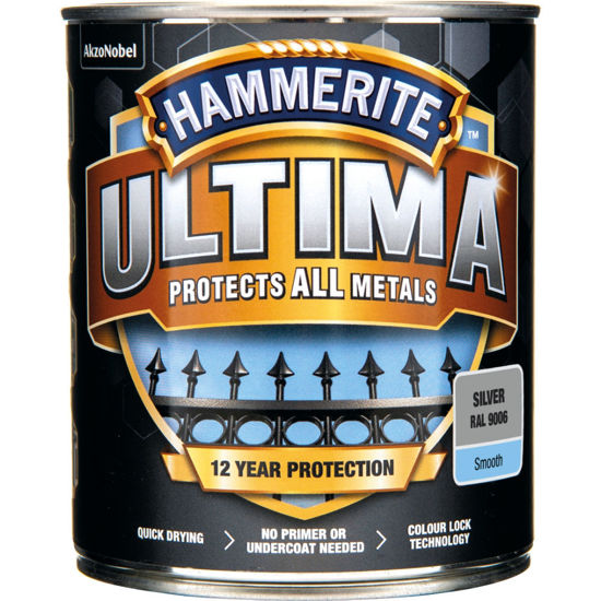 Bild på Hammerite Slätlack Ultima Silver 750ML