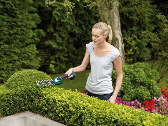 Bosch Asb 10 8 Li