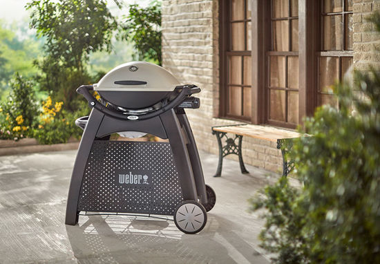 Weber Q2000 () Weber Q2000