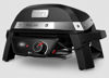 Weber Pulse Elgrill