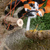 Stihl MS 201 TC-M Motorsåg 30 cm 3/8"P