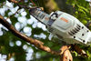 Stihl Batteristamkvistare HTA 86 (utan batteri)