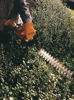 Stihl Häcksax HS 45 600mm 24