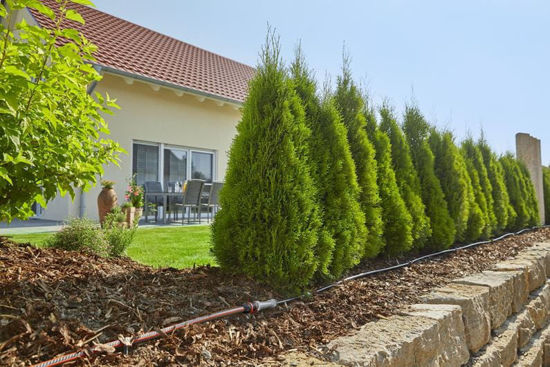 Droppslang Gardena Ovan Jord