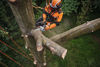 Stihl MSA 220 TC-O Batteridriven kedjesåg 30cm 36V (utan batterier)