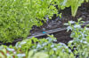 Gardena 13319-20 Micro-Drip-System Micro Sprinkler 5st