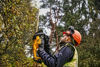 DeWalt DCMHT563P1 Häcksax 18V XR 55cm (1x5,0ah)