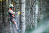 DeWalt DCMCST635N Kedjesåg Topphandtag 54V XR FV (utan batterier)