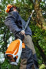 STIHL HTA 86 Stamkvistare 36V + 2 st AP 200