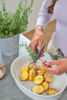 Gardena HerbCut Örtsax 12214-20